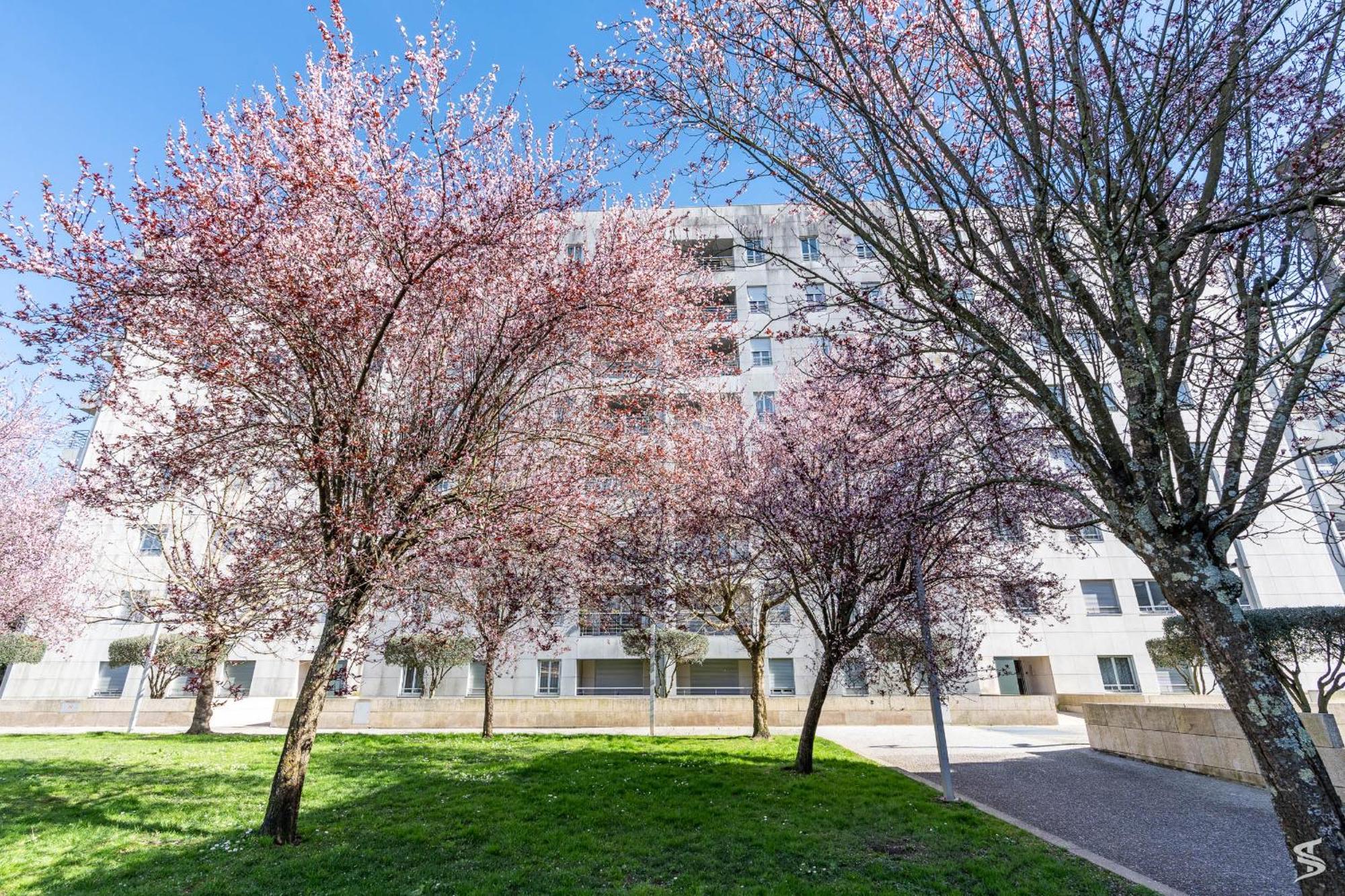 Cedofeita Sunny Apartment - Balcony & Parking Porto Exterior photo